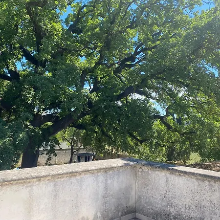 Casa La Quercia * Corigliano dʼOtranto